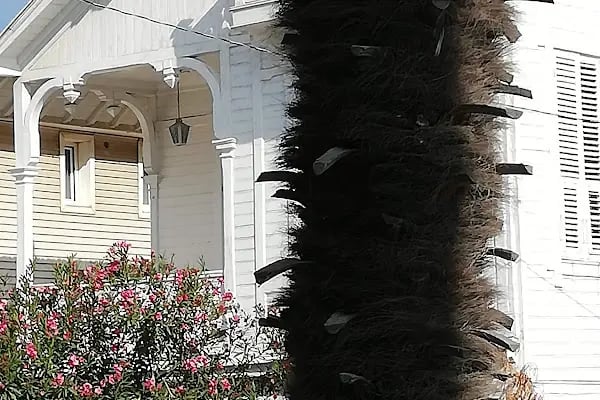 Büyükada Ada Sahil Otel - Resim 13