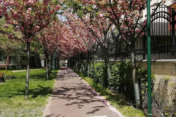 Bağcılar Belediyesi Kestane Bahçesi - Resim 3