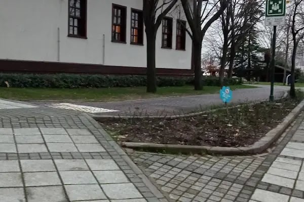 Bağcılar Belediyesi Kestane Bahçesi - Resim 8