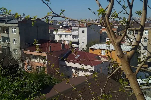 Bağcılar Belediyesi Kestane Bahçesi - Resim 7