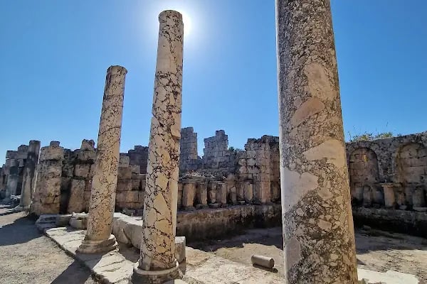 East Basilica - Resim 10