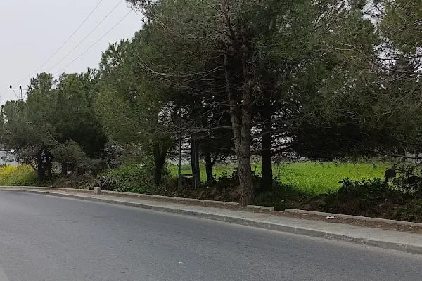 Arnavutköy Geri Gönderme Merkezi (Göç İdaresi) - Resim 6