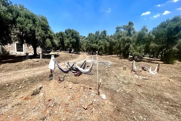 Şeyh Bedrettin Türbesi - Resim 15
