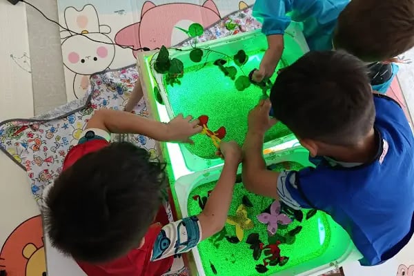 Alyam pedagojik gelişim danışmanlığı - Resim 7