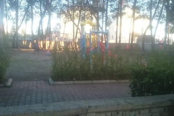 Gökkuşağı - Resim 12