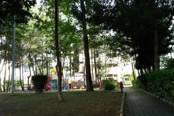 Gökkuşağı - Resim 17