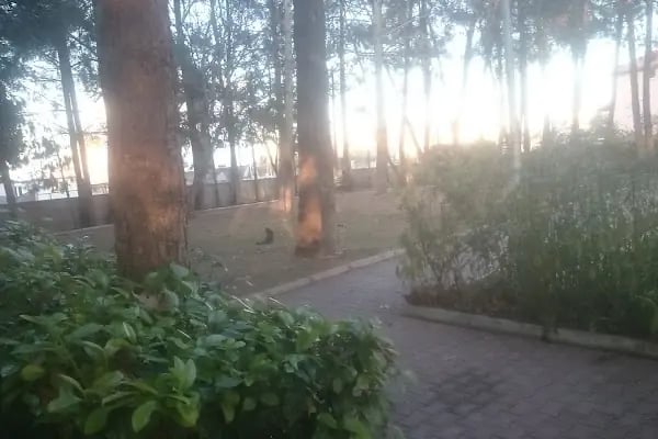 Gökkuşağı - Resim 19