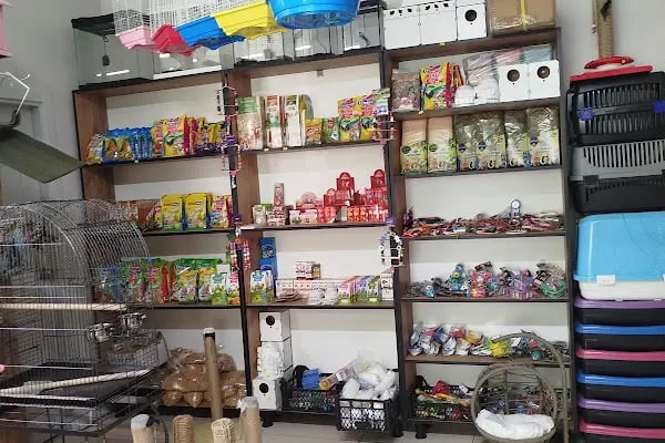 Otantikpet products Petshop - Resim 14
