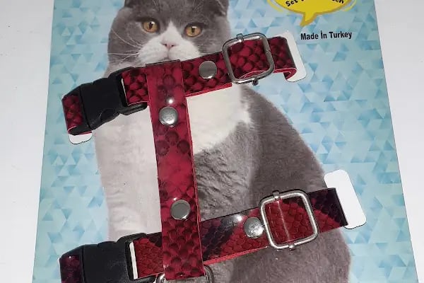 Otantikpet products Petshop - Resim 3