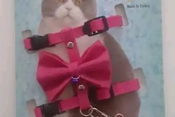 Otantikpet products Petshop - Resim 12