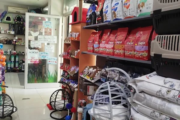 Otantikpet products Petshop - Resim 8