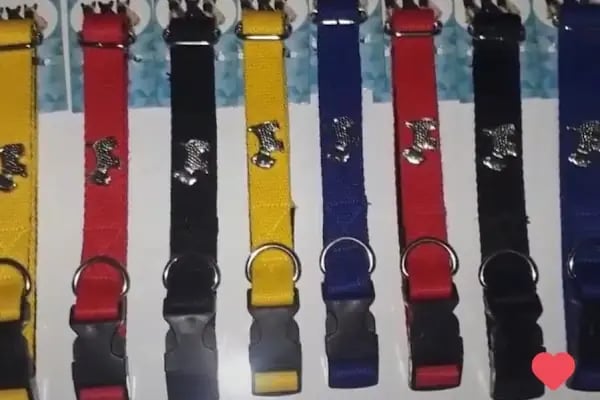Otantikpet products Petshop - Resim 19