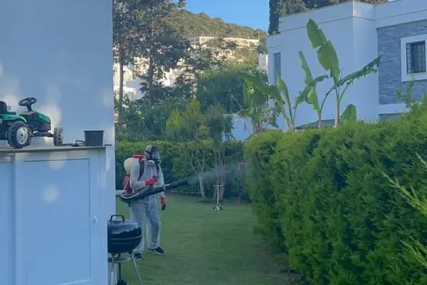 Bodrum ECOFİX Çevre Sağlığı İlaçlama ve Dezenfeksiyon - Resim 3