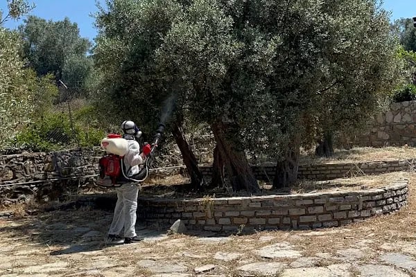 Bodrum ECOFİX Çevre Sağlığı İlaçlama ve Dezenfeksiyon - Resim 6