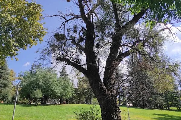 Seğmenler Parkı - Resim 14