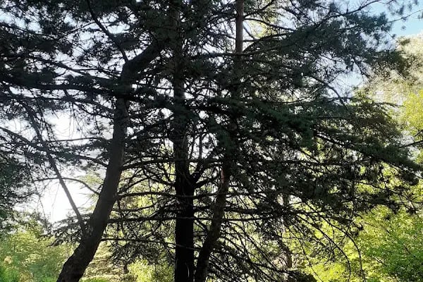 Seğmenler Parkı - Resim 19