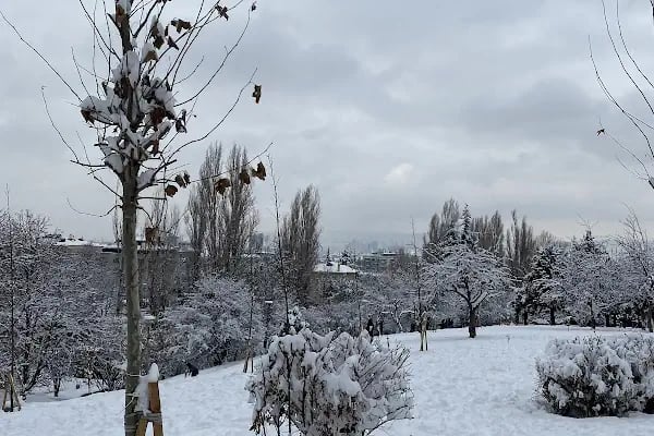 Seğmenler Parkı - Resim 5