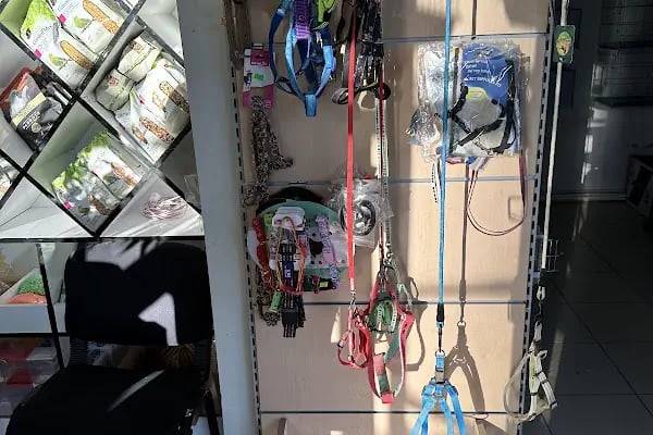 Ulaş petshop - Resim 14