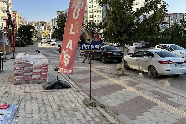Ulaş petshop - Resim 16