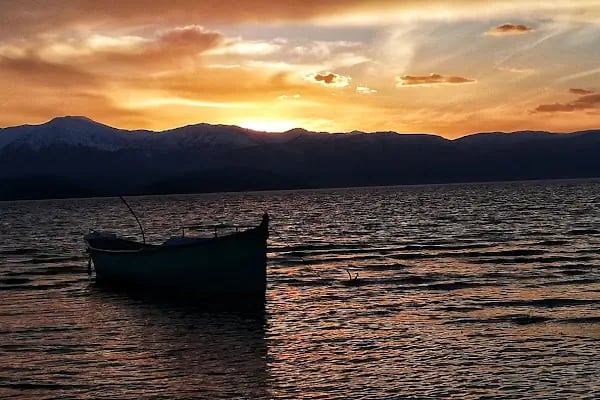 Tolca Tayat Balık Evi Restaurant - Resim 11
