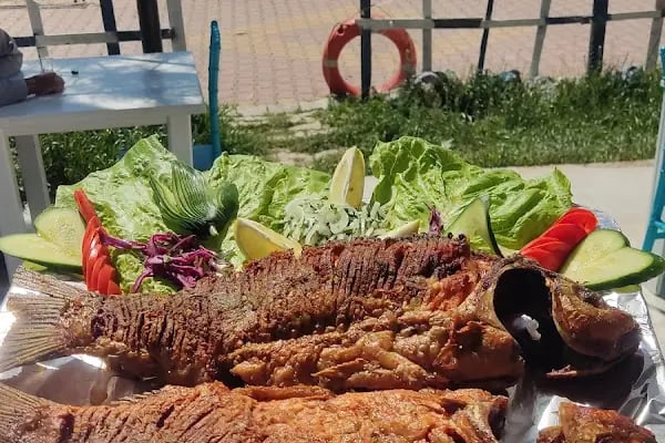 Tolca Tayat Balık Evi Restaurant - Resim 18