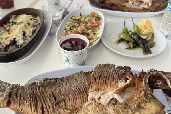 Tolca Tayat Balık Evi Restaurant - Resim 7