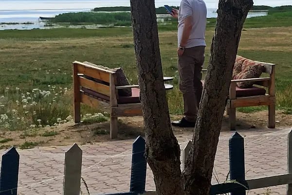 Tolca Tayat Balık Evi Restaurant - Resim 16