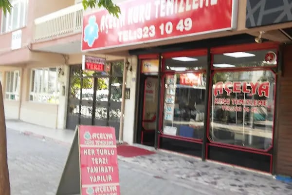 Açelya kuru temizleme - Resim 9