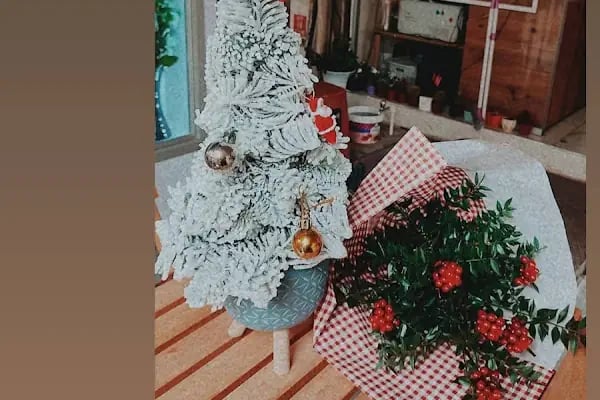 Duru çiçek evi - Resim 8