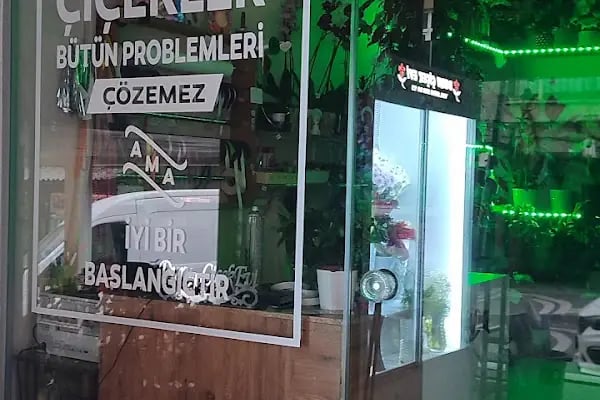 Duru çiçek evi - Resim 2