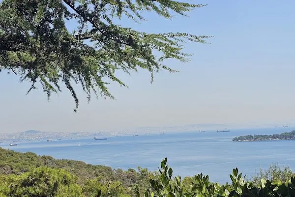 PALYA Cafe Rest&amp;NARGİLE - Resim 7