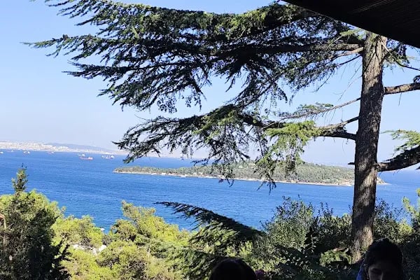 PALYA Cafe Rest&amp;NARGİLE - Resim 5