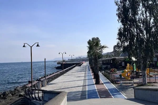 Trabzon Akçaabat Söğütlü Sahil - Resim 14