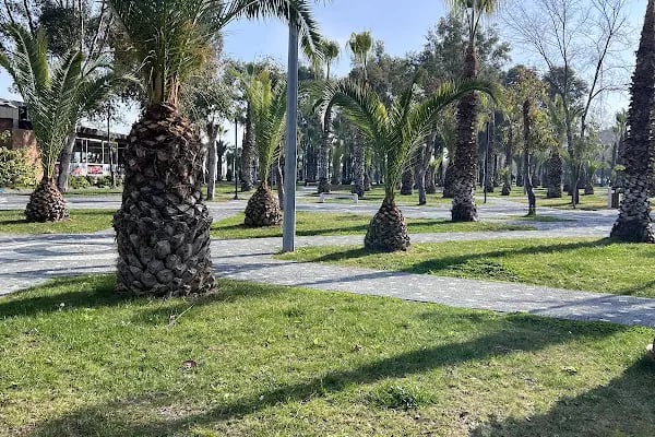Trabzon Akçaabat Söğütlü Sahil - Resim 12