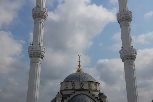 Yeşil camii - Resim 12