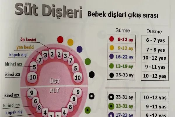 Çocuk Doktoru Bayram Çoban - Resim 20