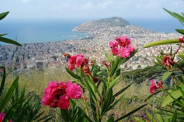 Alanya Teras Çocuk Parkı - Resim 10
