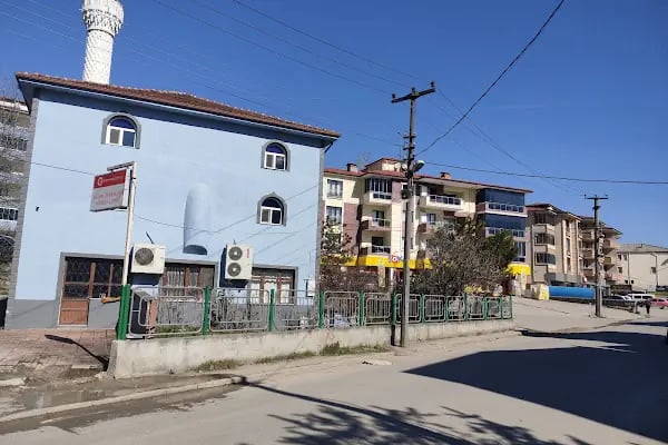 Aladağ Cami - Resim 3