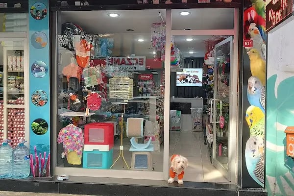 Zeyna Petshop - Resim 20