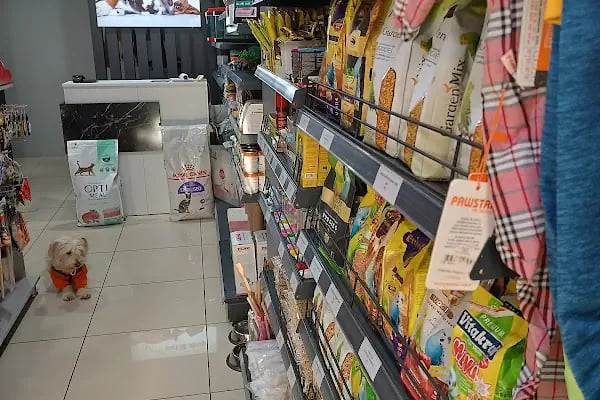 Zeyna Petshop - Resim 11