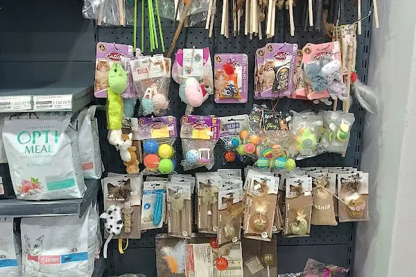 Zeyna Petshop - Resim 8