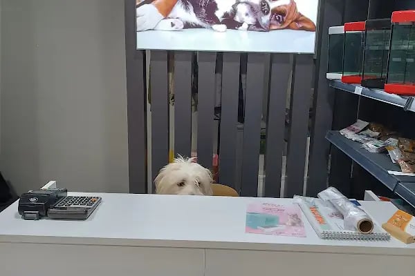 Zeyna Petshop - Resim 14