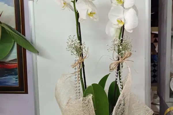 Çiçekçi Abla - Resim 4