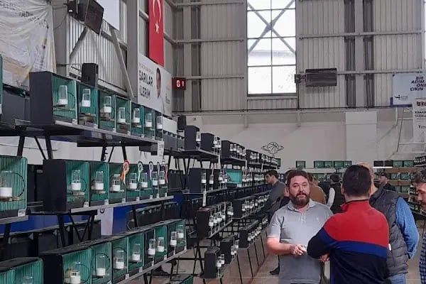 Esenler Mehmet Öcalan Spor Kompleksi - Resim 12