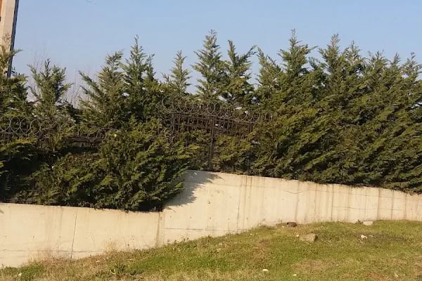 Ali Yaşar Yurdabak Anaokulu AYYA - Resim 9