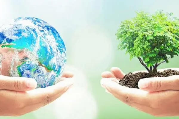 Geri Dönüşüm Atık Kağıt - Plastik Ltd. Şti. Beyaz kağıt karton naylon - Resim 16