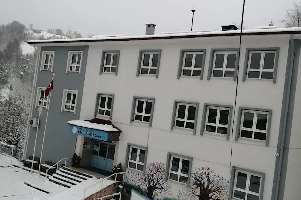 Ağaçlı Ortaokulu - Resim 18