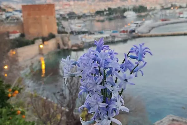 Yemen Kahvesi Konaklı Coffee&amp;Restaurant - Resim 11