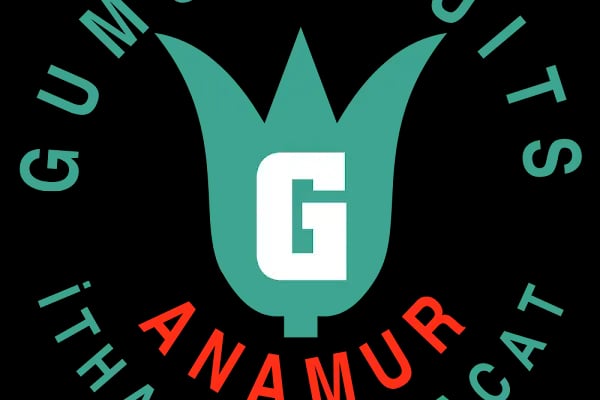 GÜMÜŞ 33 İTHALAT İHRACAT OTOMOTİV - Resim 15