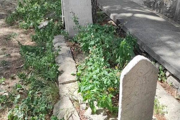 Yağlı Dede Türbesi - Resim 14